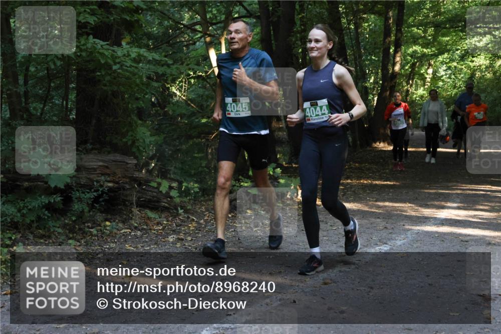 28.09.2025 - 33. Volkslauf durch das schöne Alstertal Strokosch-Dieckow http://msf.ph/oto/8968240 28.09.2025 10:55:31 Laufen 4045, 4044, 4060 meine-sportfotos.de