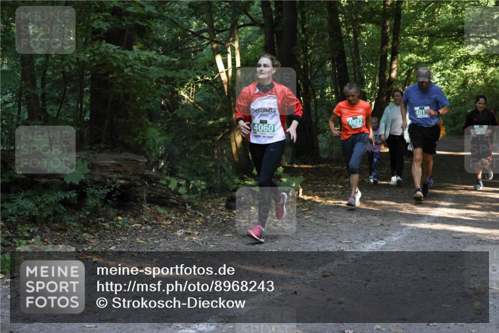 28.09.2025 - 33. Volkslauf durch das schöne Alstertal Strokosch-Dieckow http://msf.ph/oto/8968243 28.09.2025 10:55:35 Laufen 4060, 4032, 401, 4080 meine-sportfotos.de