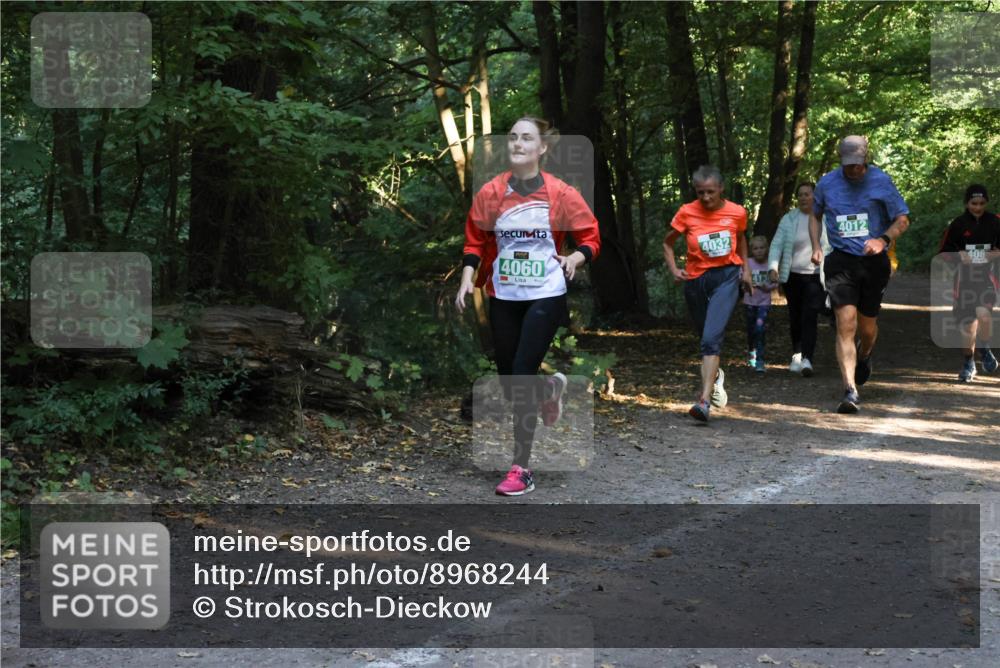 28.09.2025 - 33. Volkslauf durch das schöne Alstertal Strokosch-Dieckow http://msf.ph/oto/8968244 28.09.2025 10:55:35 Laufen 4060, 4032, 4012, 408 meine-sportfotos.de
