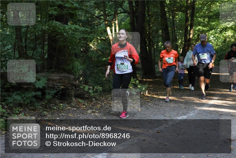 28.09.2025 - 33. Volkslauf durch das schöne Alstertal Strokosch-Dieckow http://msf.ph/oto/8968246 28.09.2025 10:55:35 Laufen 4060, 4032, 4012 meine-sportfotos.de