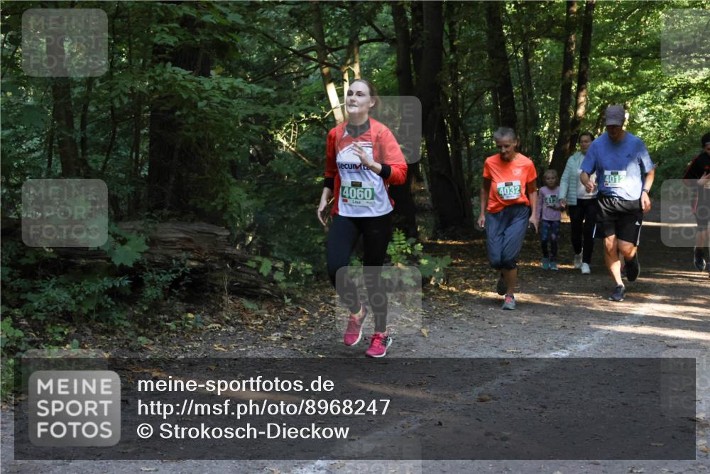 28.09.2025 - 33. Volkslauf durch das schöne Alstertal Strokosch-Dieckow http://msf.ph/oto/8968247 28.09.2025 10:55:35 Laufen 4060, 4032, 4012 meine-sportfotos.de