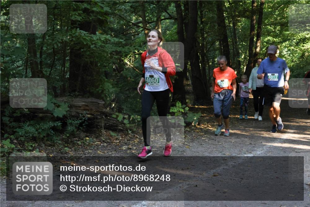 28.09.2025 - 33. Volkslauf durch das schöne Alstertal Strokosch-Dieckow http://msf.ph/oto/8968248 28.09.2025 10:55:35 Laufen 4060, 403, 4130, 4012 meine-sportfotos.de