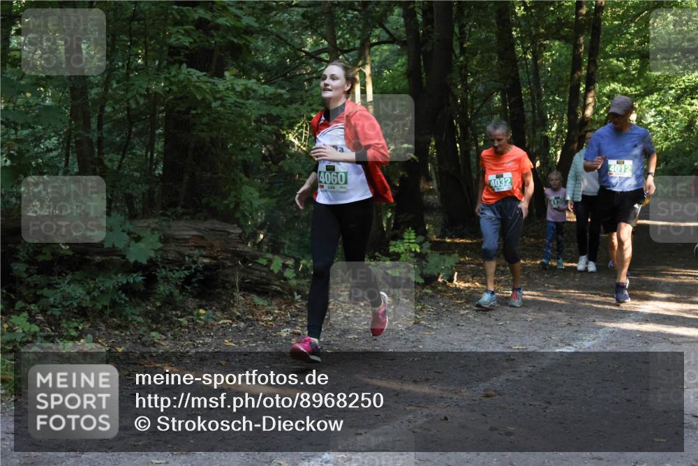 28.09.2025 - 33. Volkslauf durch das schöne Alstertal Strokosch-Dieckow http://msf.ph/oto/8968250 28.09.2025 10:55:35 Laufen 4060, 4032, 4012 meine-sportfotos.de
