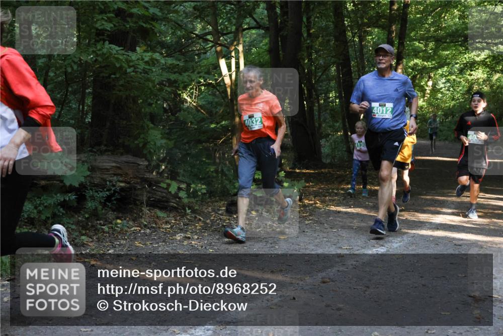 28.09.2025 - 33. Volkslauf durch das schöne Alstertal Strokosch-Dieckow http://msf.ph/oto/8968252 28.09.2025 10:55:36 Laufen 4032, 4012 meine-sportfotos.de