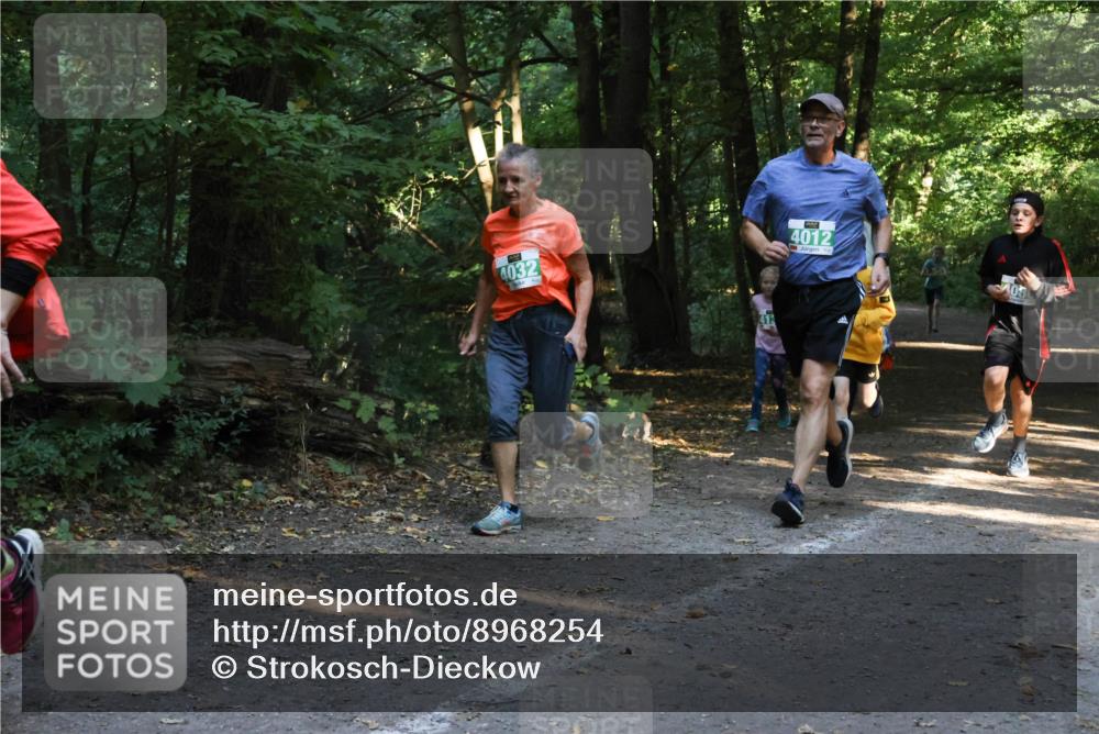 28.09.2025 - 33. Volkslauf durch das schöne Alstertal Strokosch-Dieckow http://msf.ph/oto/8968254 28.09.2025 10:55:36 Laufen 4032, 4012 meine-sportfotos.de