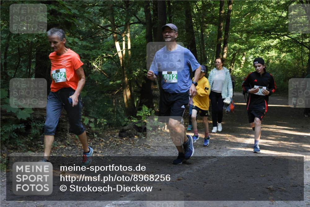 28.09.2025 - 33. Volkslauf durch das schöne Alstertal Strokosch-Dieckow http://msf.ph/oto/8968256 28.09.2025 10:55:37 Laufen 4032, 4012 meine-sportfotos.de