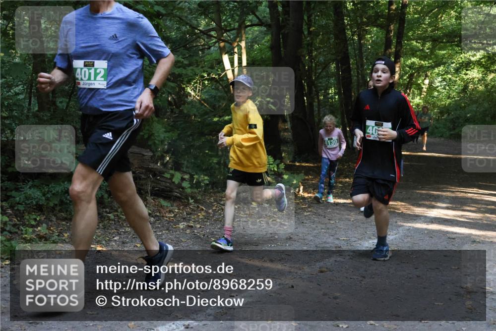 28.09.2025 - 33. Volkslauf durch das schöne Alstertal Strokosch-Dieckow http://msf.ph/oto/8968259 28.09.2025 10:55:38 Laufen 4012, 4130, 40 meine-sportfotos.de