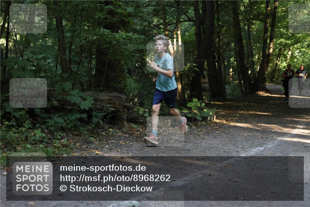 28.09.2025 - 33. Volkslauf durch das schöne Alstertal Strokosch-Dieckow http://msf.ph/oto/8968262 28.09.2025 10:55:45 Laufen  meine-sportfotos.de