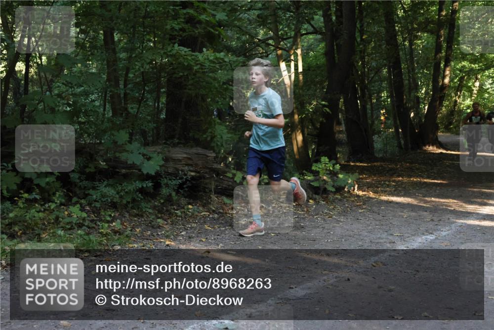 28.09.2025 - 33. Volkslauf durch das schöne Alstertal Strokosch-Dieckow http://msf.ph/oto/8968263 28.09.2025 10:55:45 Laufen  meine-sportfotos.de