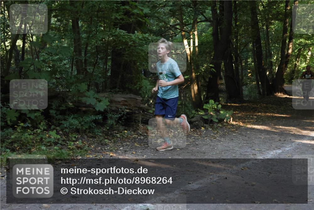 28.09.2025 - 33. Volkslauf durch das schöne Alstertal Strokosch-Dieckow http://msf.ph/oto/8968264 28.09.2025 10:55:45 Laufen 055 meine-sportfotos.de