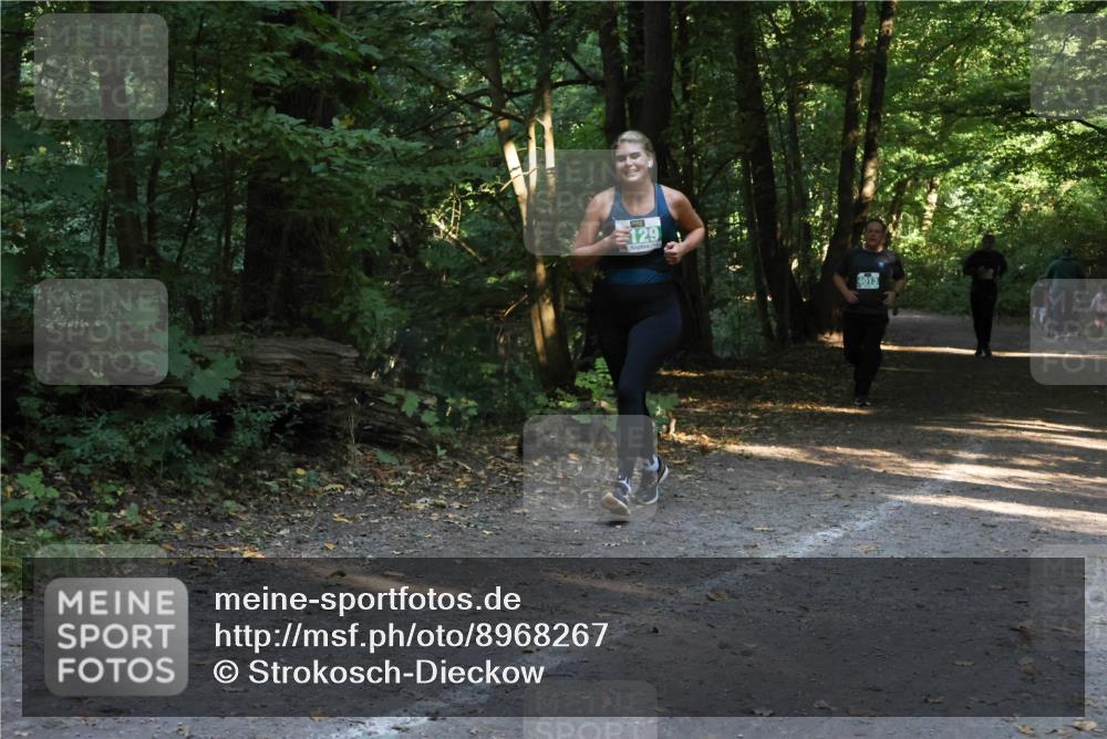 28.09.2025 - 33. Volkslauf durch das schöne Alstertal Strokosch-Dieckow http://msf.ph/oto/8968267 28.09.2025 10:55:50 Laufen 129, 4013 meine-sportfotos.de