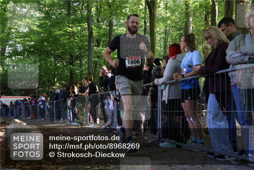 28.09.2025 - 33. Volkslauf durch das schöne Alstertal Strokosch-Dieckow http://msf.ph/oto/8968269 28.09.2025 11:48:52 Ziel 1123, 1588, 1606, 2241 meine-sportfotos.de