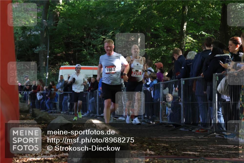 28.09.2025 - 33. Volkslauf durch das schöne Alstertal Strokosch-Dieckow http://msf.ph/oto/8968275 28.09.2025 11:48:57 Ziel 1588, 1789, 2241 meine-sportfotos.de