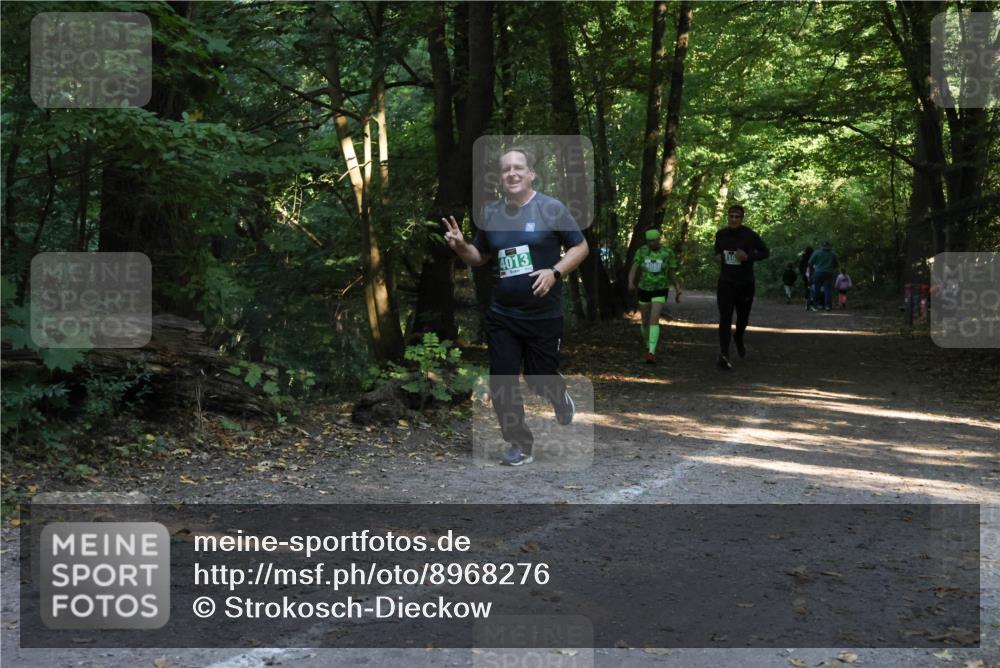 28.09.2025 - 33. Volkslauf durch das schöne Alstertal Strokosch-Dieckow http://msf.ph/oto/8968276 28.09.2025 10:55:53 Laufen 4013 meine-sportfotos.de