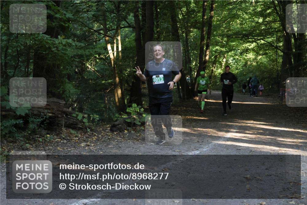 28.09.2025 - 33. Volkslauf durch das schöne Alstertal Strokosch-Dieckow http://msf.ph/oto/8968277 28.09.2025 10:55:53 Laufen 4013 meine-sportfotos.de