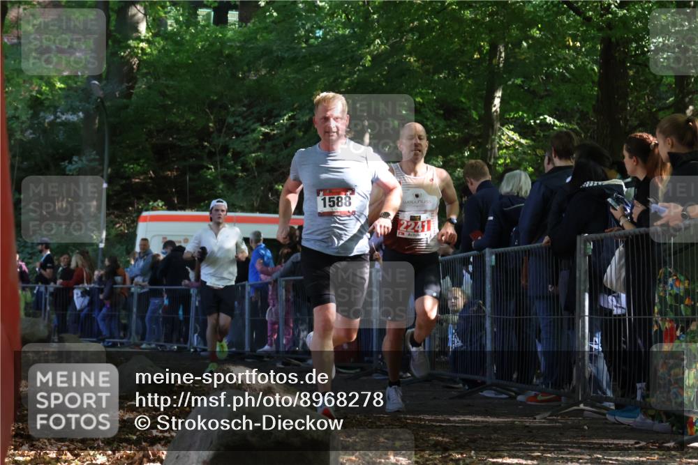 28.09.2025 - 33. Volkslauf durch das schöne Alstertal Strokosch-Dieckow http://msf.ph/oto/8968278 28.09.2025 11:48:57 Ziel 1588, 1789, 2241 meine-sportfotos.de