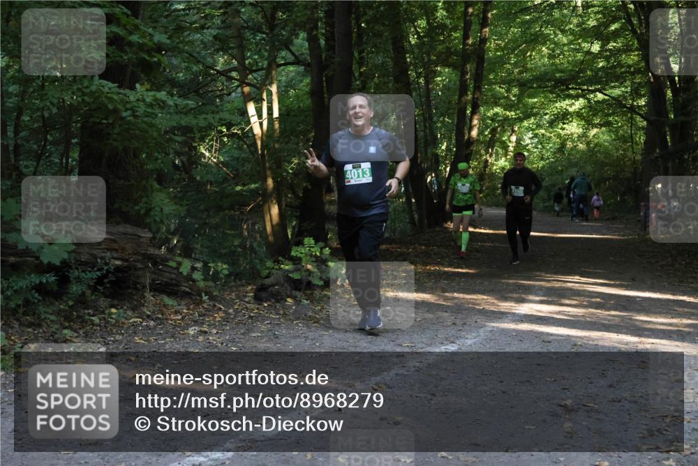 28.09.2025 - 33. Volkslauf durch das schöne Alstertal Strokosch-Dieckow http://msf.ph/oto/8968279 28.09.2025 10:55:53 Laufen 4013 meine-sportfotos.de