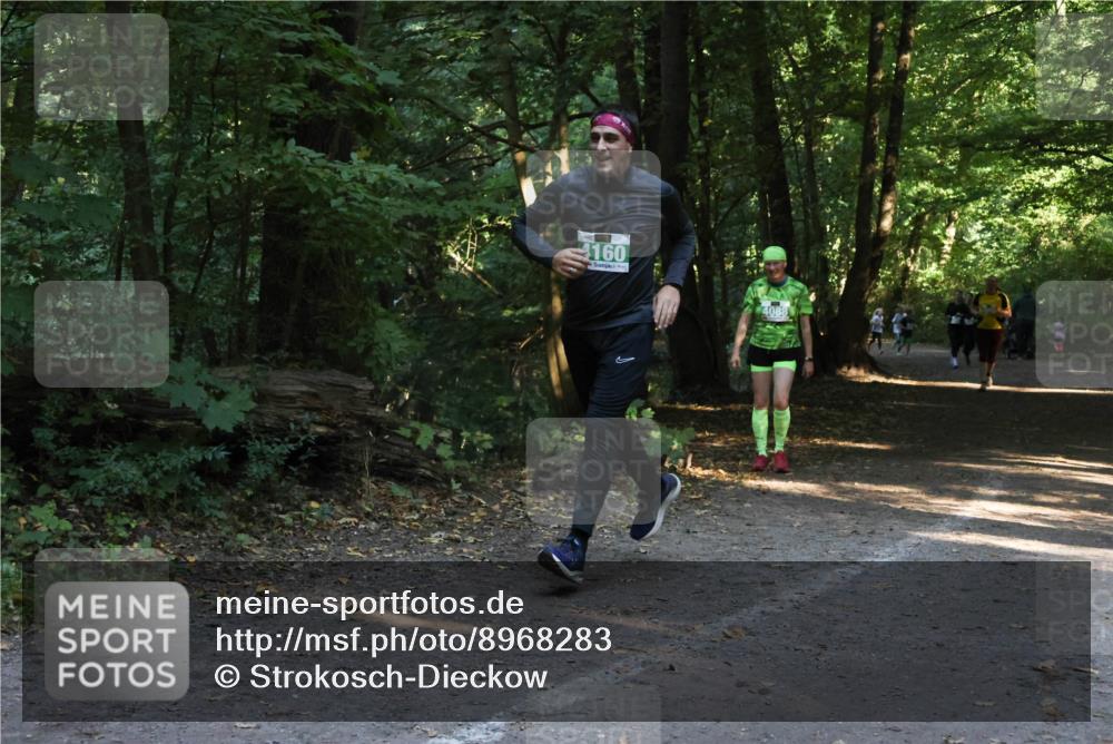 28.09.2025 - 33. Volkslauf durch das schöne Alstertal Strokosch-Dieckow http://msf.ph/oto/8968283 28.09.2025 10:55:56 Laufen 4160, 4088 meine-sportfotos.de