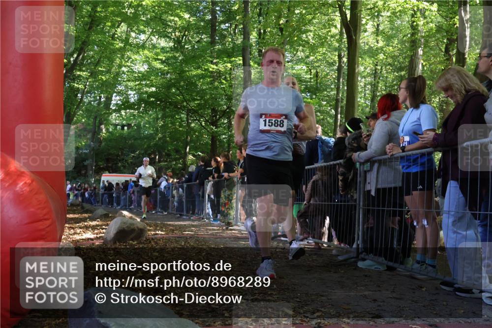 28.09.2025 - 33. Volkslauf durch das schöne Alstertal Strokosch-Dieckow http://msf.ph/oto/8968289 28.09.2025 11:48:59 Ziel 1588, 1789, 2241 meine-sportfotos.de