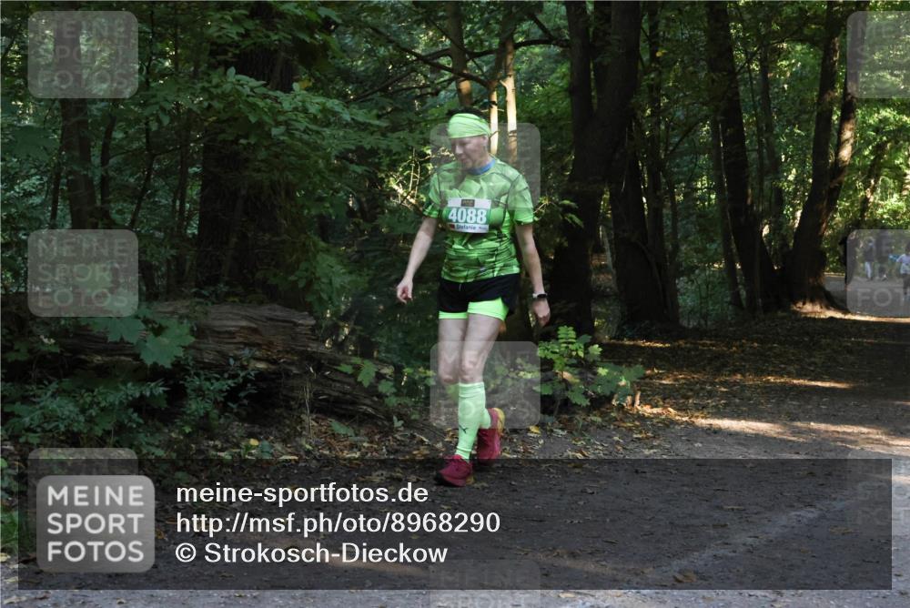 28.09.2025 - 33. Volkslauf durch das schöne Alstertal Strokosch-Dieckow http://msf.ph/oto/8968290 28.09.2025 10:55:59 Laufen 4088 meine-sportfotos.de