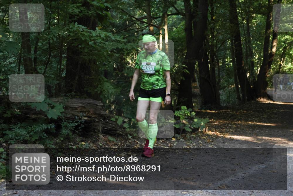 28.09.2025 - 33. Volkslauf durch das schöne Alstertal Strokosch-Dieckow http://msf.ph/oto/8968291 28.09.2025 10:55:59 Laufen 4088 meine-sportfotos.de
