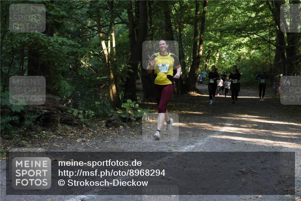 28.09.2025 - 33. Volkslauf durch das schöne Alstertal Strokosch-Dieckow http://msf.ph/oto/8968294 28.09.2025 10:56:03 Laufen 4087 meine-sportfotos.de