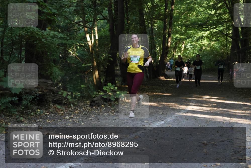 28.09.2025 - 33. Volkslauf durch das schöne Alstertal Strokosch-Dieckow http://msf.ph/oto/8968295 28.09.2025 10:56:03 Laufen 4087 meine-sportfotos.de