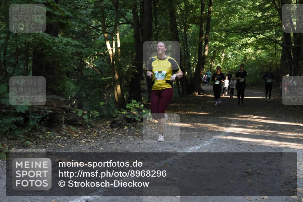 28.09.2025 - 33. Volkslauf durch das schöne Alstertal Strokosch-Dieckow http://msf.ph/oto/8968296 28.09.2025 10:56:03 Laufen 4087 meine-sportfotos.de