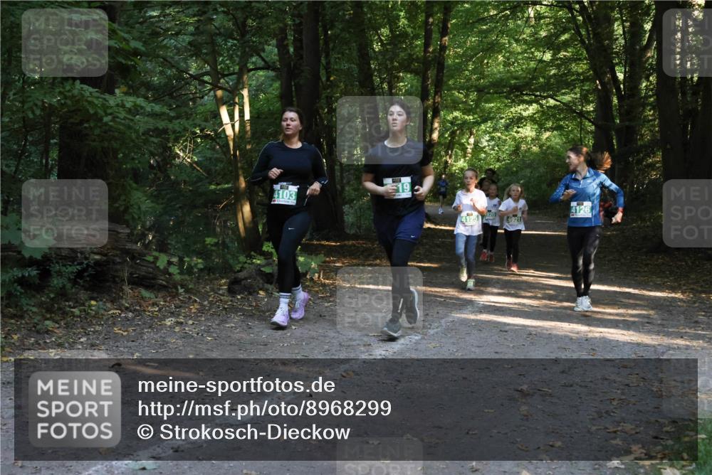 28.09.2025 - 33. Volkslauf durch das schöne Alstertal Strokosch-Dieckow http://msf.ph/oto/8968299 28.09.2025 10:56:08 Laufen 19, 4103, 4126, 920, 4125, 4921 meine-sportfotos.de