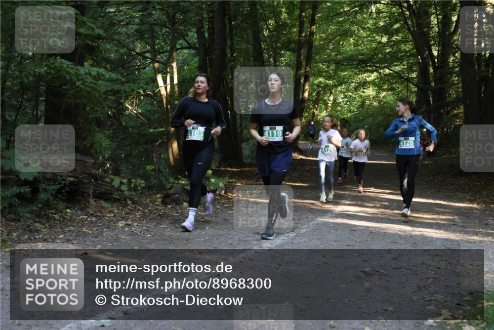 28.09.2025 - 33. Volkslauf durch das schöne Alstertal Strokosch-Dieckow http://msf.ph/oto/8968300 28.09.2025 10:56:08 Laufen 4103, 4119, 4126, 4125, 1920, 4921 meine-sportfotos.de