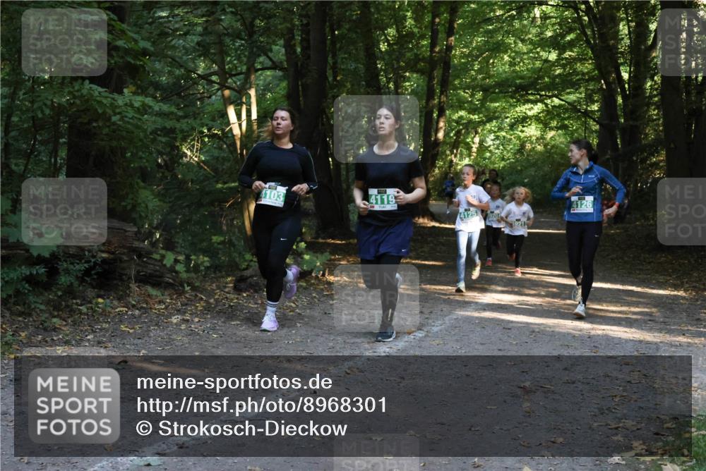 28.09.2025 - 33. Volkslauf durch das schöne Alstertal Strokosch-Dieckow http://msf.ph/oto/8968301 28.09.2025 10:56:08 Laufen 4103, 4119, 4125, 920, 4126 meine-sportfotos.de