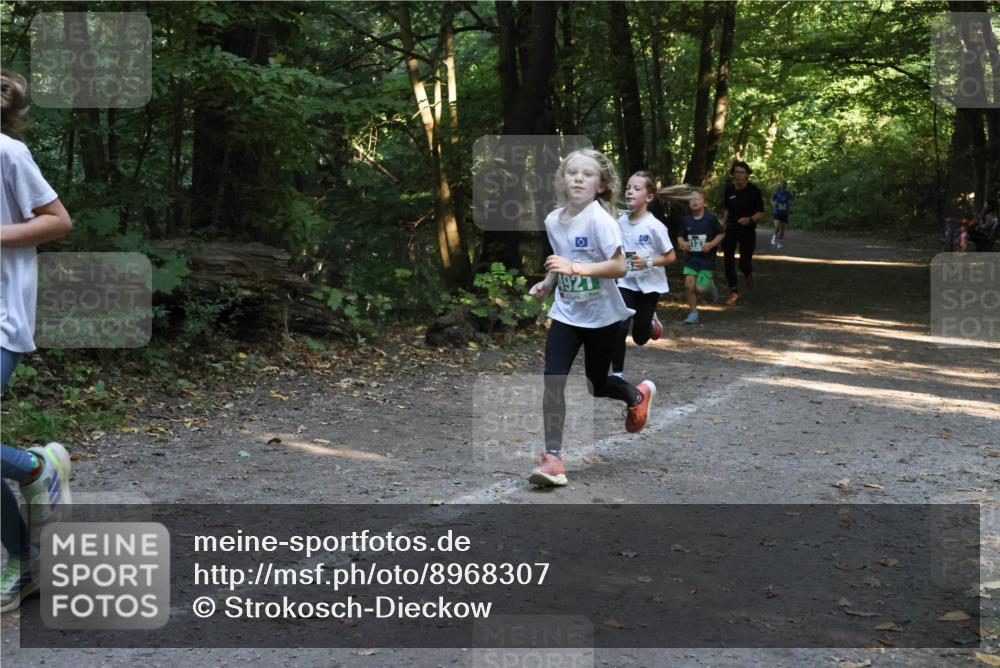 28.09.2025 - 33. Volkslauf durch das schöne Alstertal Strokosch-Dieckow http://msf.ph/oto/8968307 28.09.2025 10:56:10 Laufen 4927 meine-sportfotos.de