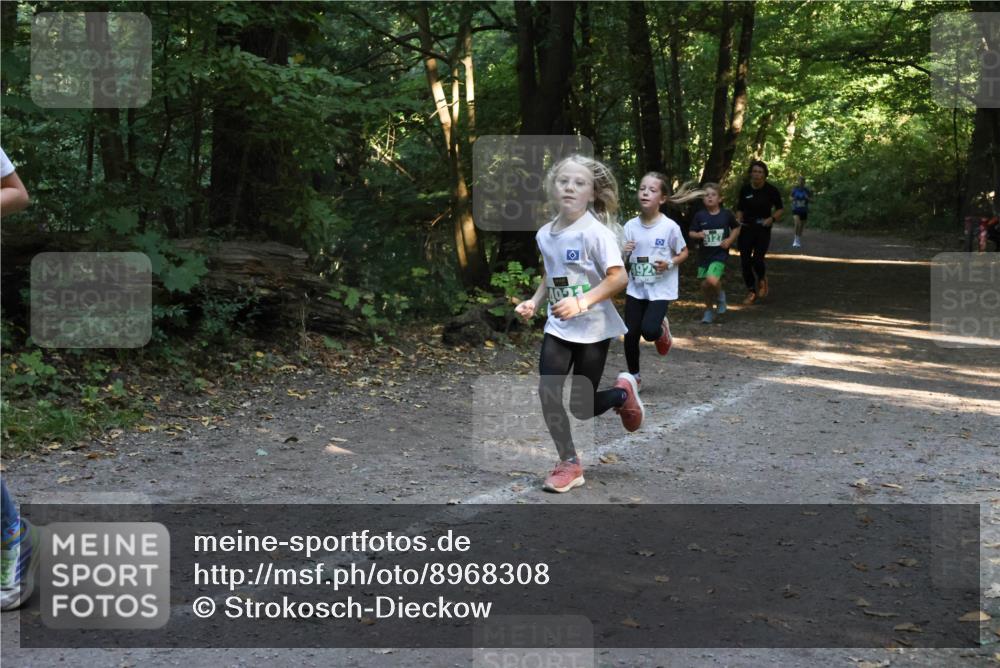 28.09.2025 - 33. Volkslauf durch das schöne Alstertal Strokosch-Dieckow http://msf.ph/oto/8968308 28.09.2025 10:56:11 Laufen 127 meine-sportfotos.de