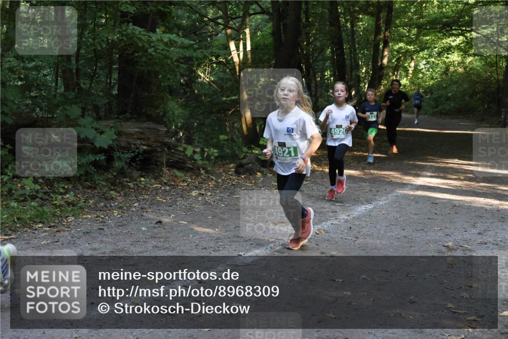 28.09.2025 - 33. Volkslauf durch das schöne Alstertal Strokosch-Dieckow http://msf.ph/oto/8968309 28.09.2025 10:56:11 Laufen 4920, 127, 4921 meine-sportfotos.de