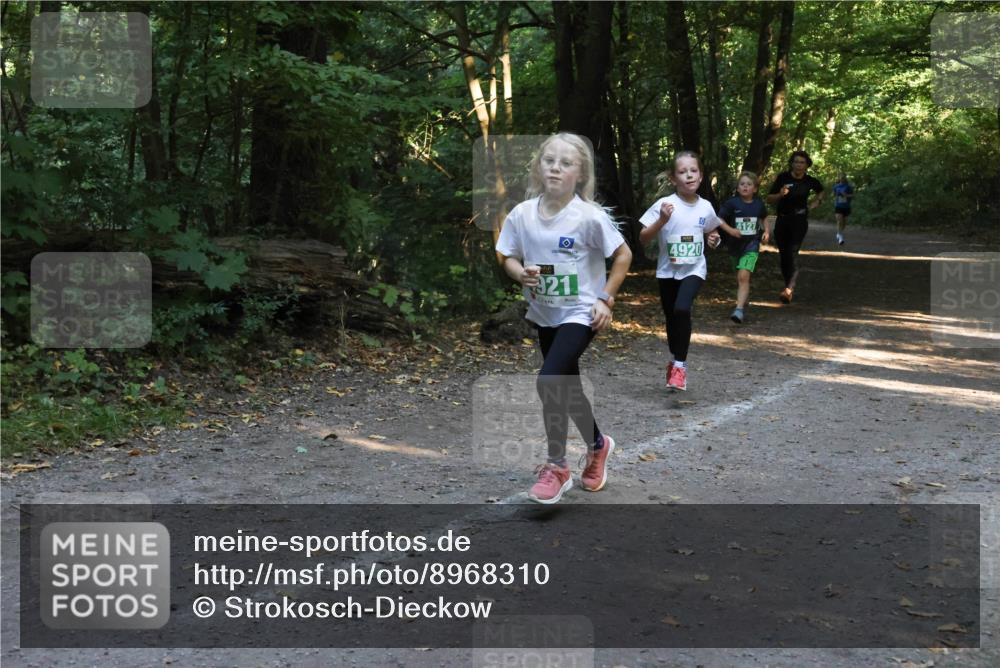 28.09.2025 - 33. Volkslauf durch das schöne Alstertal Strokosch-Dieckow http://msf.ph/oto/8968310 28.09.2025 10:56:11 Laufen 921, 4127, 4920 meine-sportfotos.de