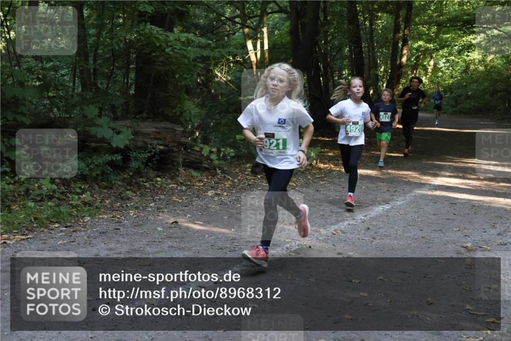 28.09.2025 - 33. Volkslauf durch das schöne Alstertal Strokosch-Dieckow http://msf.ph/oto/8968312 28.09.2025 10:56:11 Laufen 4920, 921, 4127 meine-sportfotos.de