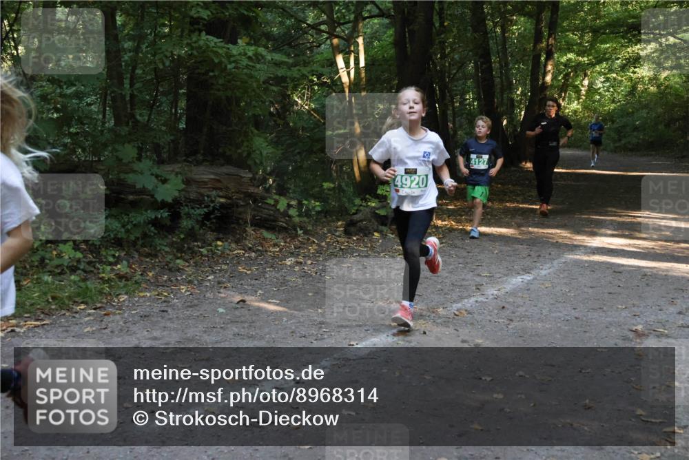 28.09.2025 - 33. Volkslauf durch das schöne Alstertal Strokosch-Dieckow http://msf.ph/oto/8968314 28.09.2025 10:56:11 Laufen 4920, 4127 meine-sportfotos.de