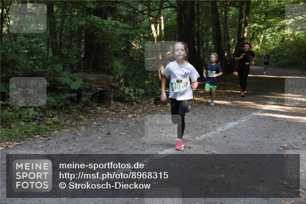 28.09.2025 - 33. Volkslauf durch das schöne Alstertal Strokosch-Dieckow http://msf.ph/oto/8968315 28.09.2025 10:56:11 Laufen 4920, 4122 meine-sportfotos.de