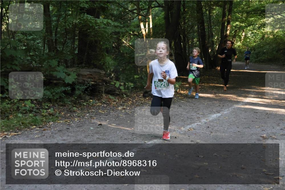 28.09.2025 - 33. Volkslauf durch das schöne Alstertal Strokosch-Dieckow http://msf.ph/oto/8968316 28.09.2025 10:56:12 Laufen 4920 meine-sportfotos.de