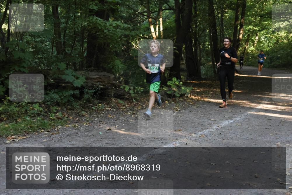 28.09.2025 - 33. Volkslauf durch das schöne Alstertal Strokosch-Dieckow http://msf.ph/oto/8968319 28.09.2025 10:56:13 Laufen 4127 meine-sportfotos.de