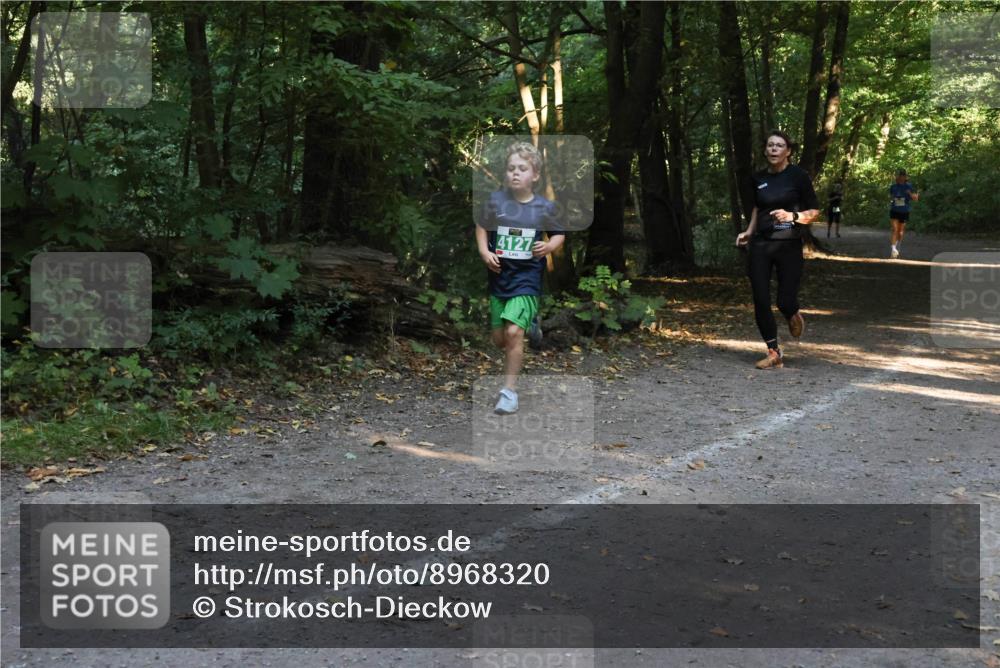 28.09.2025 - 33. Volkslauf durch das schöne Alstertal Strokosch-Dieckow http://msf.ph/oto/8968320 28.09.2025 10:56:13 Laufen 4127 meine-sportfotos.de