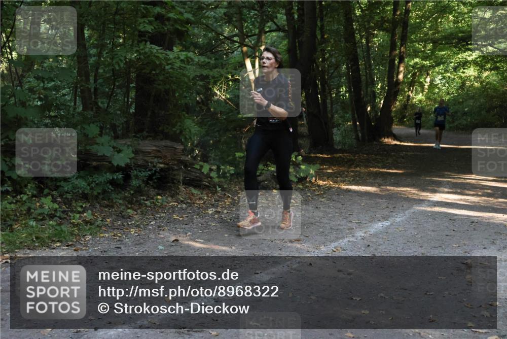 28.09.2025 - 33. Volkslauf durch das schöne Alstertal Strokosch-Dieckow http://msf.ph/oto/8968322 28.09.2025 10:56:14 Laufen  meine-sportfotos.de