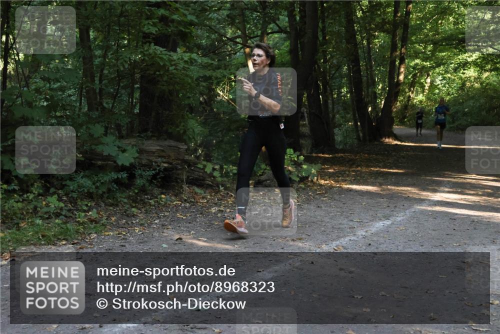 28.09.2025 - 33. Volkslauf durch das schöne Alstertal Strokosch-Dieckow http://msf.ph/oto/8968323 28.09.2025 10:56:14 Laufen  meine-sportfotos.de