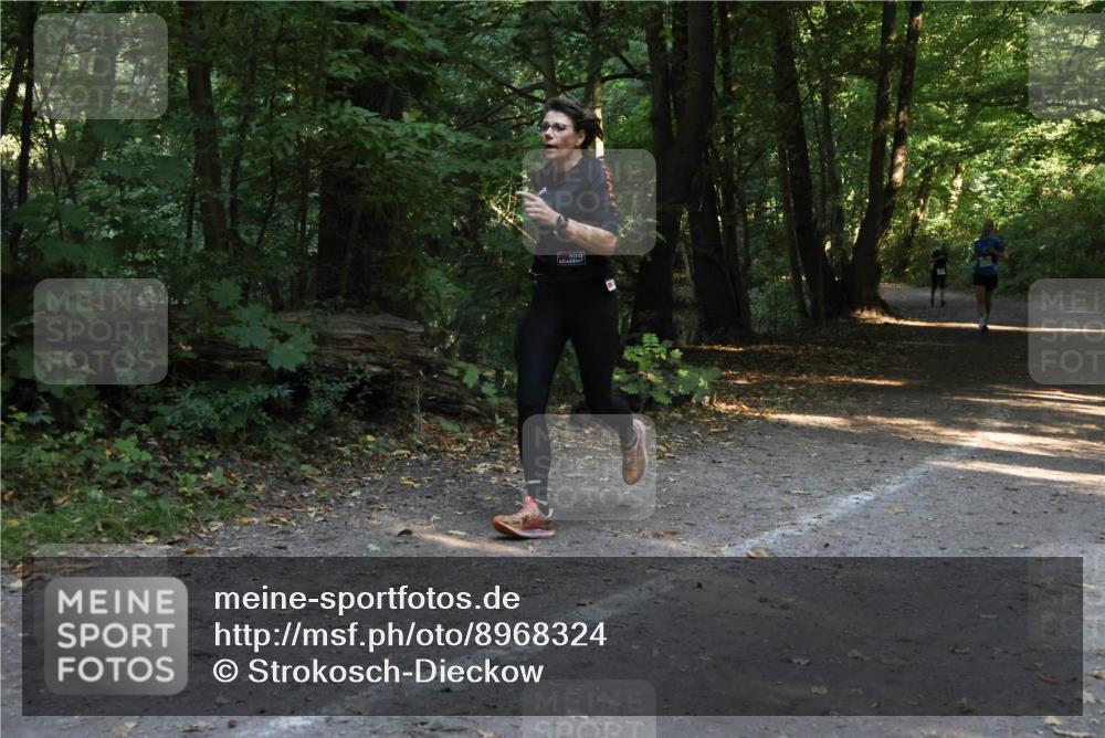 28.09.2025 - 33. Volkslauf durch das schöne Alstertal Strokosch-Dieckow http://msf.ph/oto/8968324 28.09.2025 10:56:14 Laufen  meine-sportfotos.de