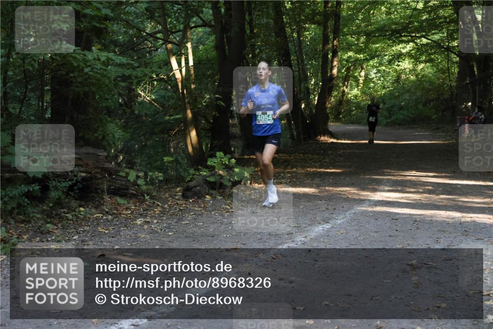 28.09.2025 - 33. Volkslauf durch das schöne Alstertal Strokosch-Dieckow http://msf.ph/oto/8968326 28.09.2025 10:56:20 Laufen 4054 meine-sportfotos.de