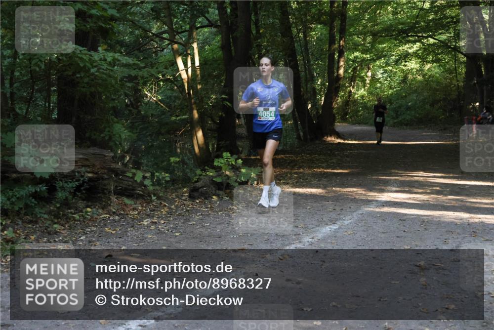 28.09.2025 - 33. Volkslauf durch das schöne Alstertal Strokosch-Dieckow http://msf.ph/oto/8968327 28.09.2025 10:56:20 Laufen 4054 meine-sportfotos.de