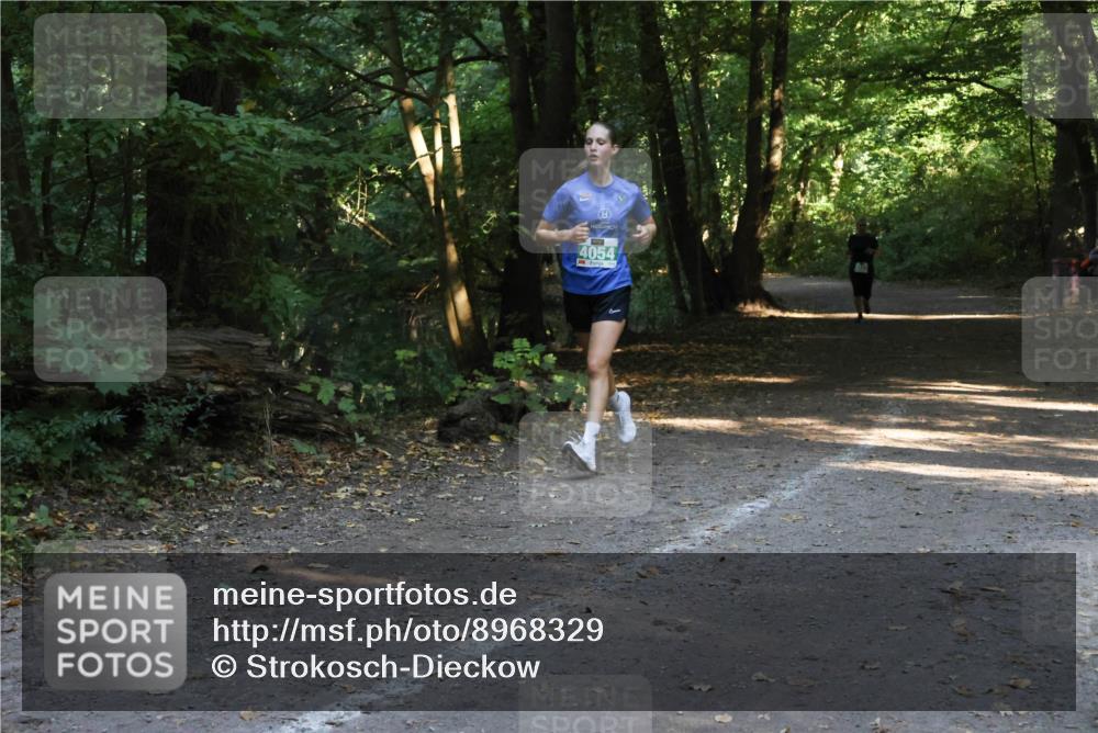 28.09.2025 - 33. Volkslauf durch das schöne Alstertal Strokosch-Dieckow http://msf.ph/oto/8968329 28.09.2025 10:56:20 Laufen 4054 meine-sportfotos.de