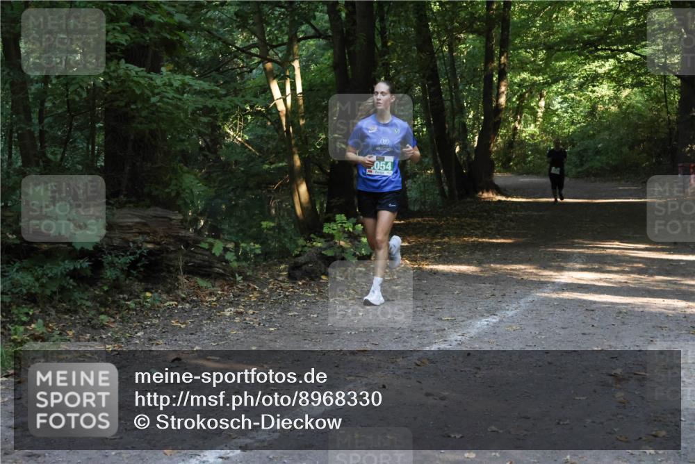 28.09.2025 - 33. Volkslauf durch das schöne Alstertal Strokosch-Dieckow http://msf.ph/oto/8968330 28.09.2025 10:56:20 Laufen 054 meine-sportfotos.de