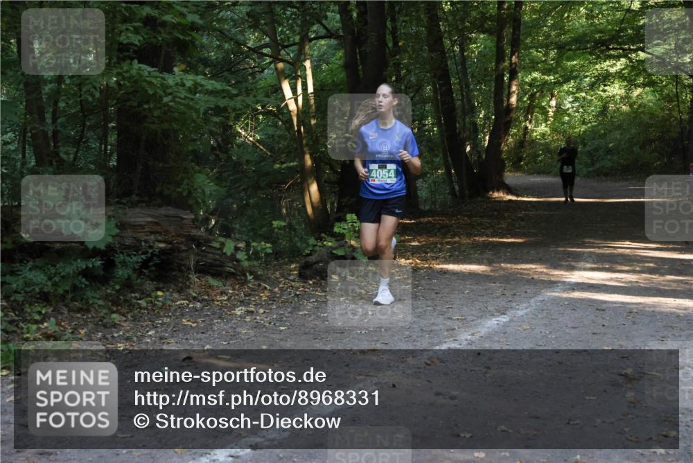 28.09.2025 - 33. Volkslauf durch das schöne Alstertal Strokosch-Dieckow http://msf.ph/oto/8968331 28.09.2025 10:56:20 Laufen 4054 meine-sportfotos.de