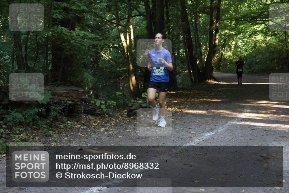 28.09.2025 - 33. Volkslauf durch das schöne Alstertal Strokosch-Dieckow http://msf.ph/oto/8968332 28.09.2025 10:56:20 Laufen 4054 meine-sportfotos.de